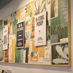 graphics-feature-2048x1031